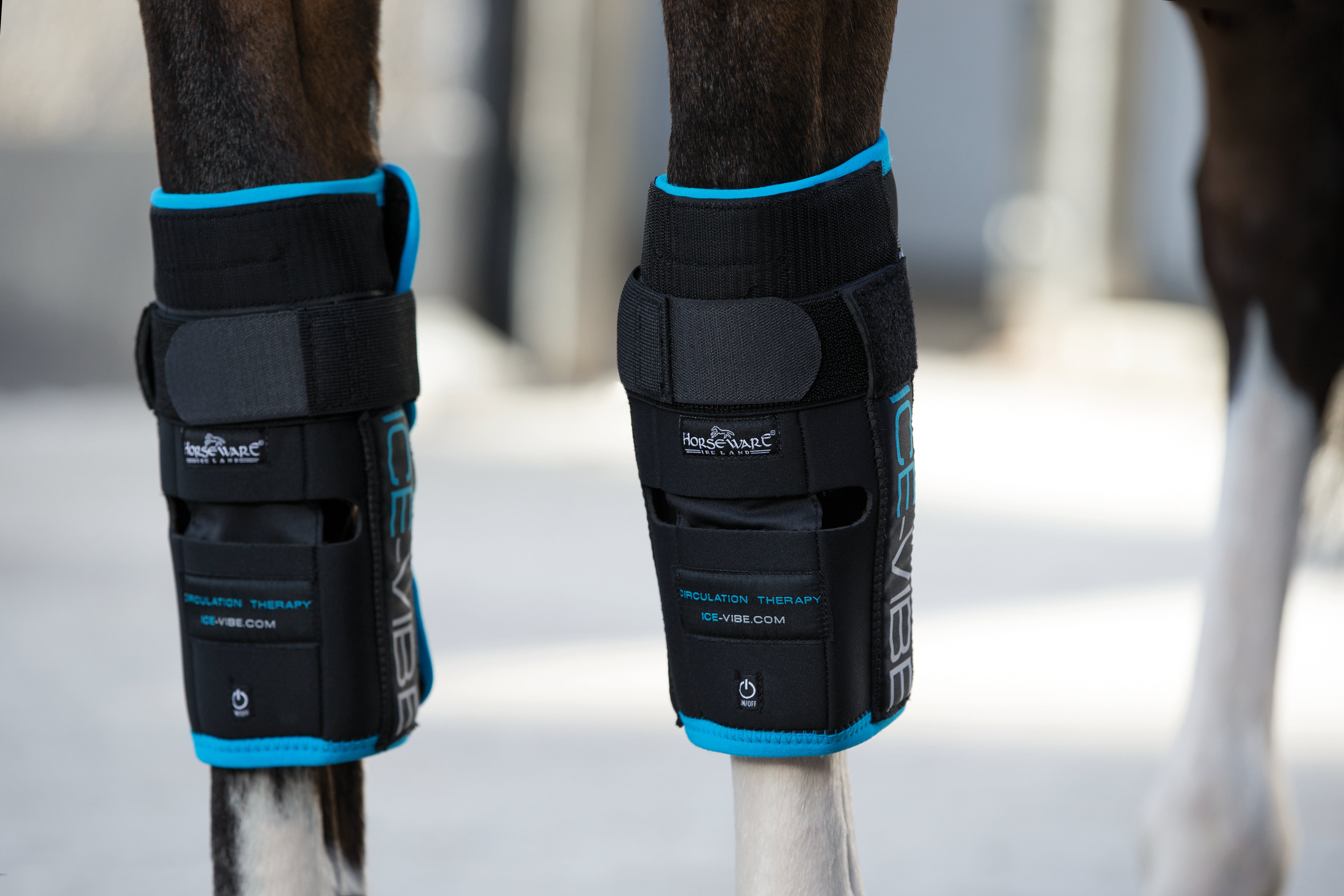 Horseware IceVibe Cool Therapy Massage Hock & Knee Wraps Equestrian Hire