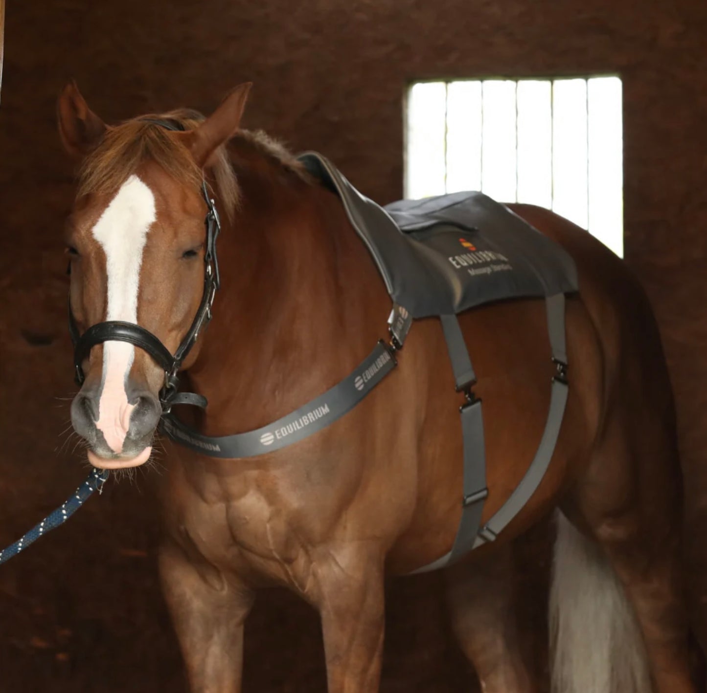 Equilibrium Massage Pad for Horses