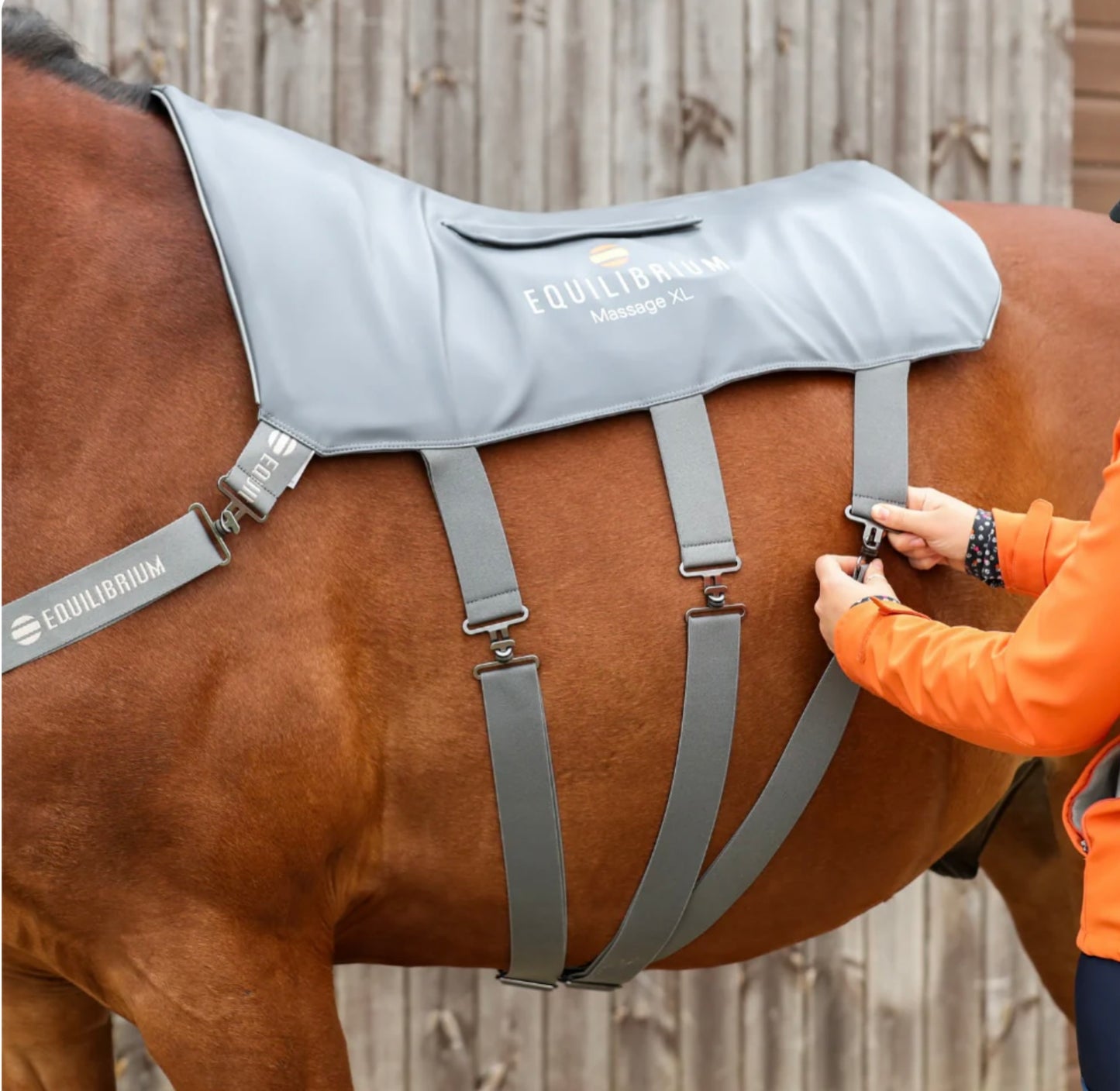 Equilibrium Massage Pad for Horses