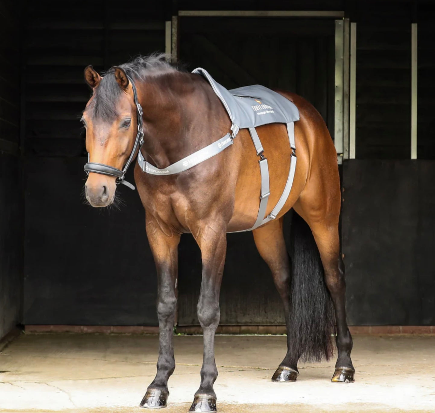 Equilibrium Massage Pad for Horses