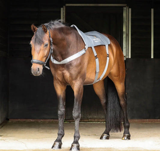 Equilibrium Massage Pad for Horses