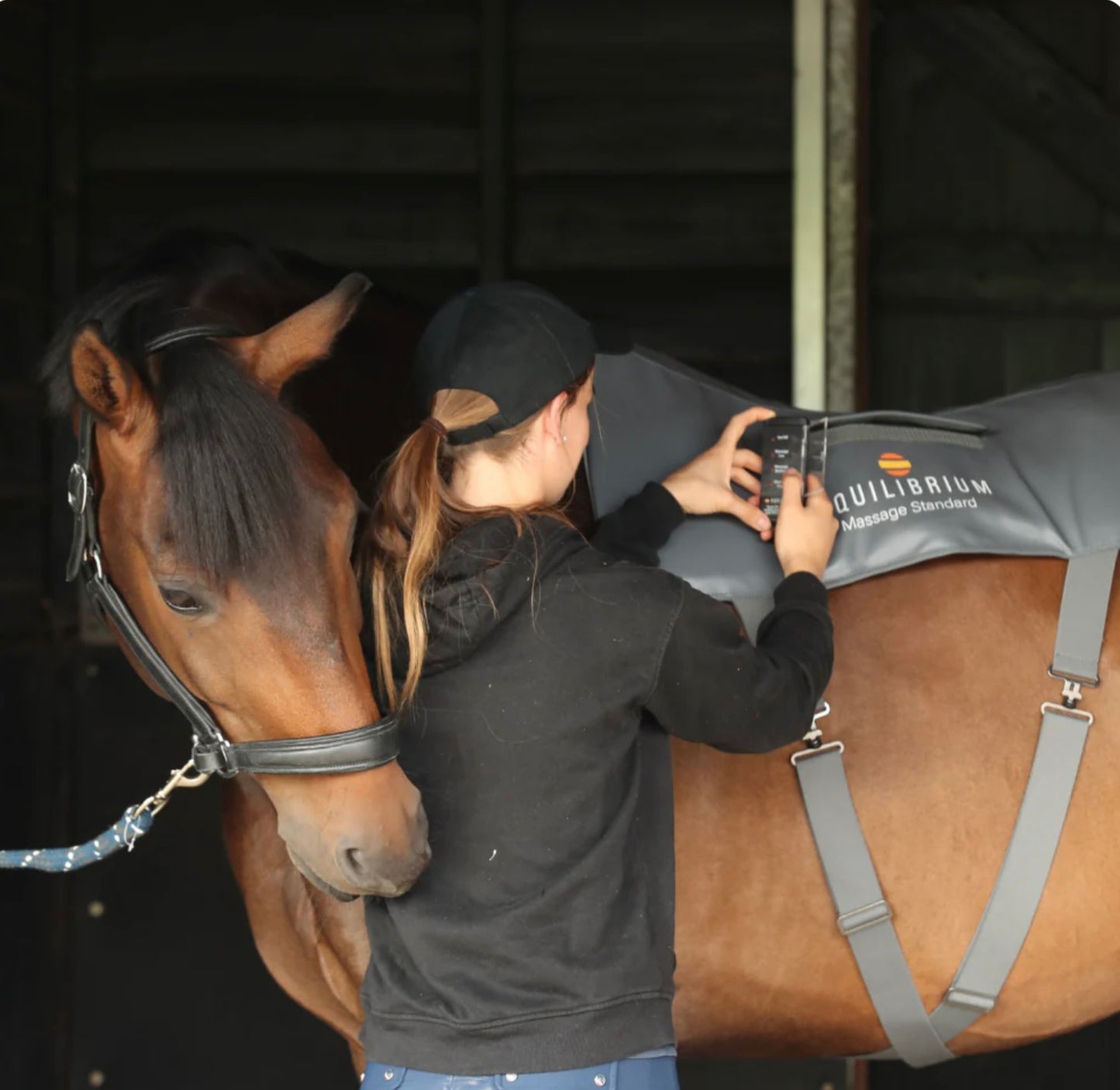 Equilibrium Massage Pad for Horses